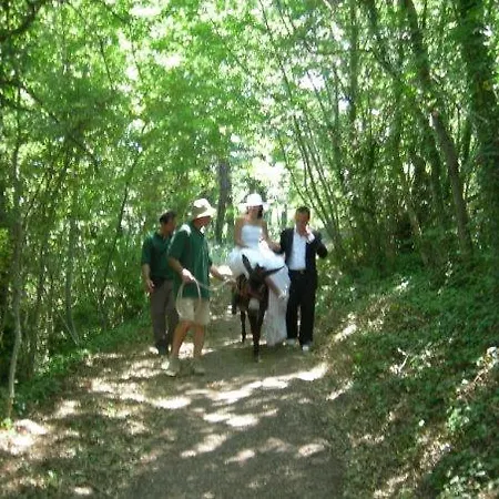 Borgo Cerquelle Farm stay *