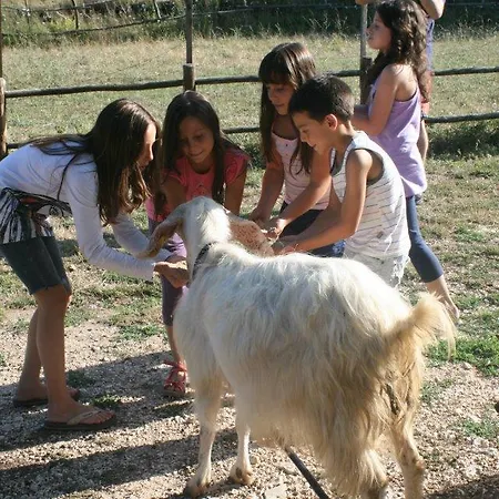 Farm stay Borgo Cerquelle *