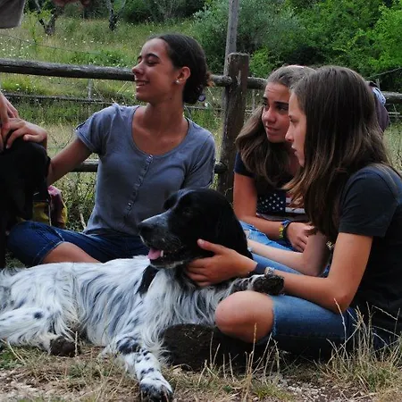 Borgo Cerquelle Farm stay